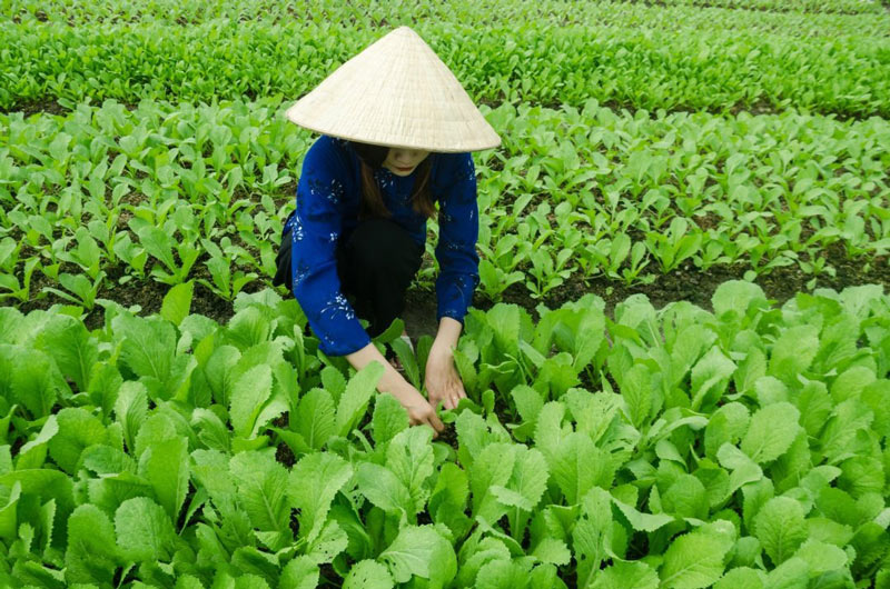 農業(yè)氣象站安裝與維護需要注意6個地方