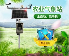 山東地區(qū)無(wú)公害葡萄種植需要什么條件?